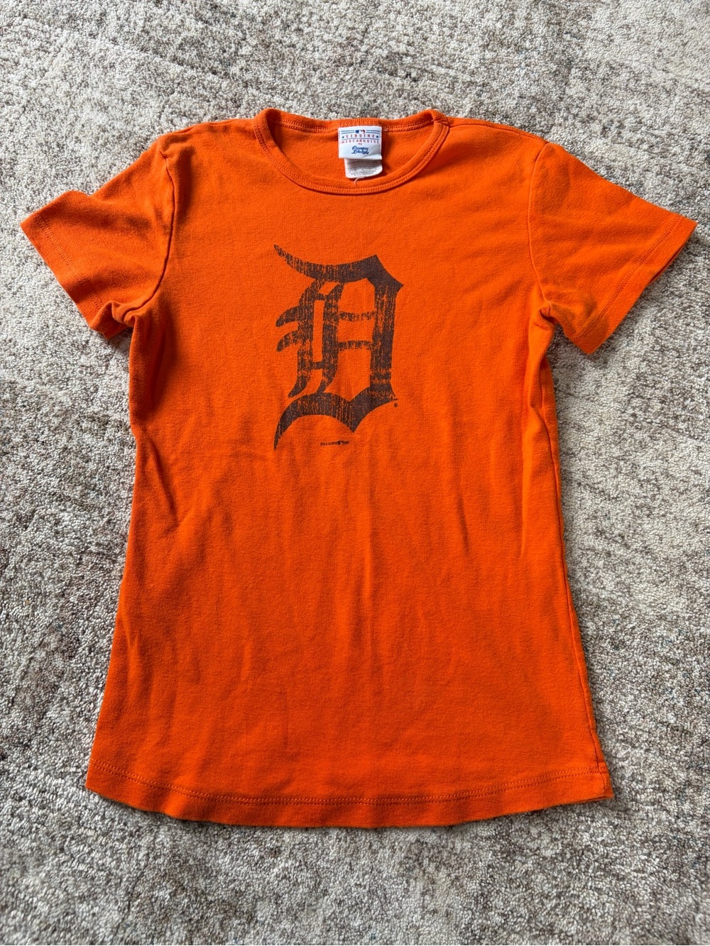Vintage Detroit Tigers Skimming Tee